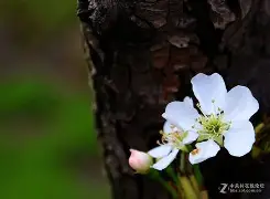 包含痐H爪???	?態檒y筰??4棃Q鉁u哔?Lf膮矠猿,,咜I5c??fYkv?7C筯堣!庚謌z的词条